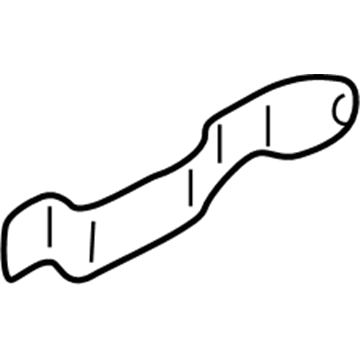Hyundai 81725-26000 Protector-Tail Gate Lock