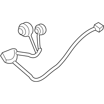 Ford DG1Z-13410-B Socket & Wire