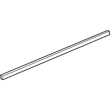 GM 22832437 Body Side Molding