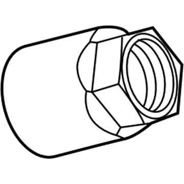 GM 13581557 Valve Assembly Nut