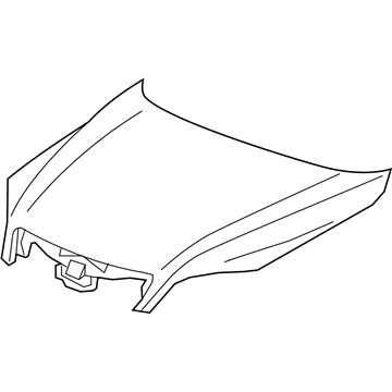 GM 19179654 Hood