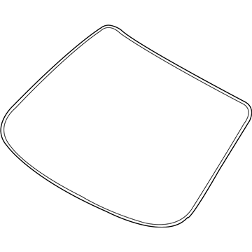 GM 96648415 Reveal Molding