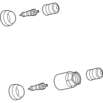 GM 13507403 TPMS Sensor Valve Assembly