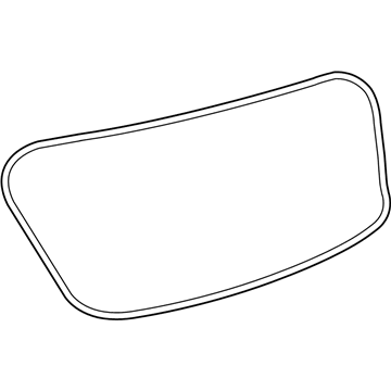 GM 13420992 Weatherstrip