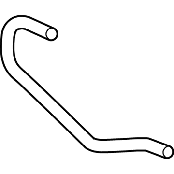 GM 19316331 Lower Hose