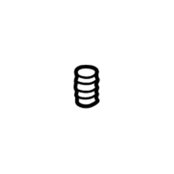 BMW 32-41-1-138-010 Compression Spring