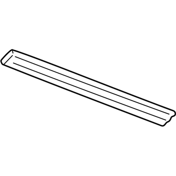 GM 15169439 Body Side Molding