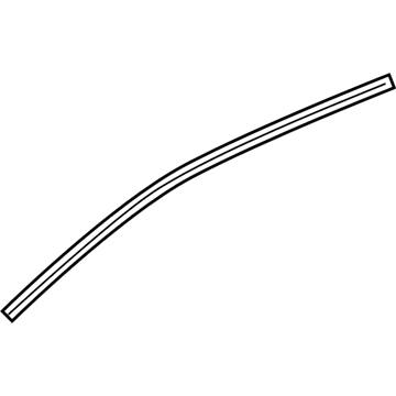 GM 22700062 Upper Weatherstrip Retainer Strip