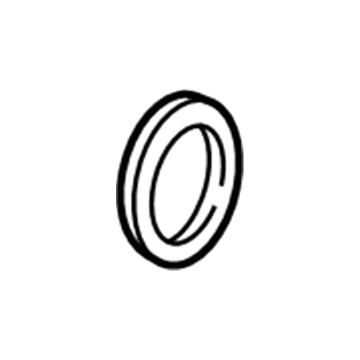 GM 55574006 Water Outlet Seal