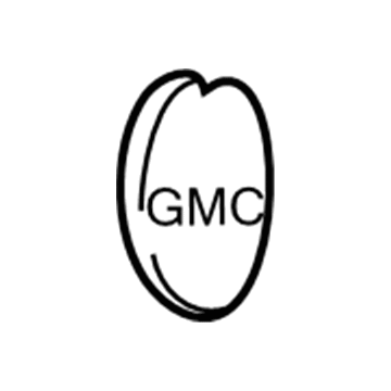 GM 15724975 Hub Cap