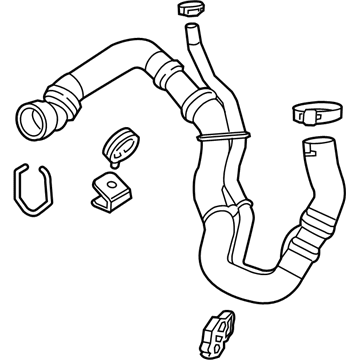 GM 84401398 Lower Hose