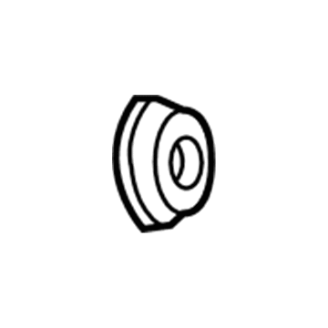 Mopar 5102456AA Cap-Door Lock Cylinder