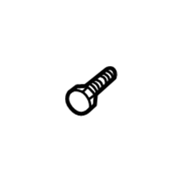 GM 9423636 Deflector Screw