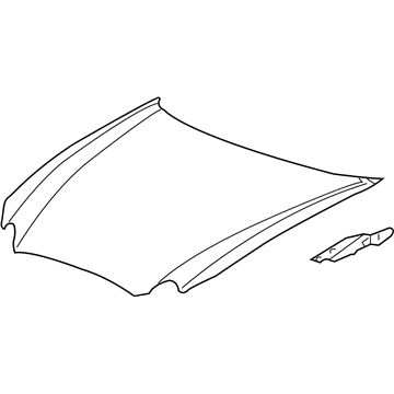 GM 89025518 Hood