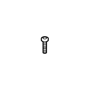 GM 11609456 Deflector Screw