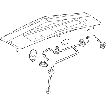 GM 19208231 Combo Lamp Assembly