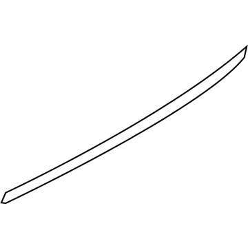GM 19316880 Belt Molding