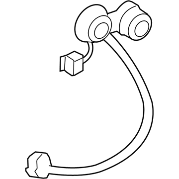 GM 25927356 Socket & Wire