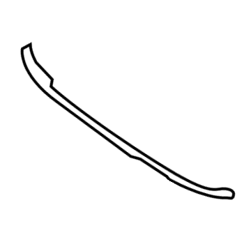 GM 22708201 Sealing Strip, Rear Side Door Outer Panel Front