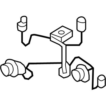 GM 15950809 Socket & Wire