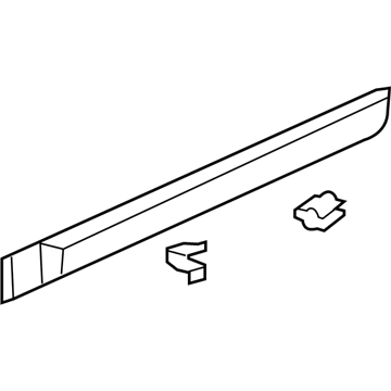 GM 96848785 Side Molding