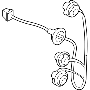 GM 19316436 Socket & Wire