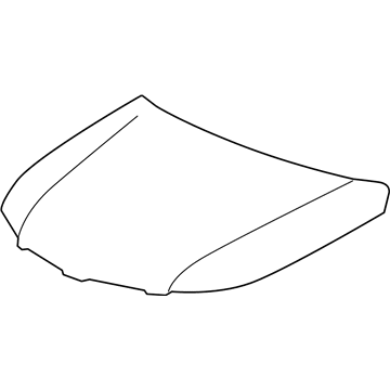 GM 89045399 Hood