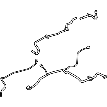 Ford AE9Z-9C015-C Canister Hose