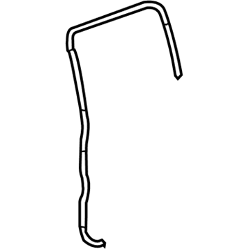 GM 19210207 Weatherstrip Asm, Rear Side Door Auxiliary *Closed Carrier