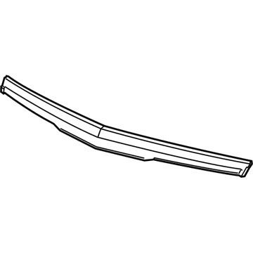 GM 22956470 Front Molding