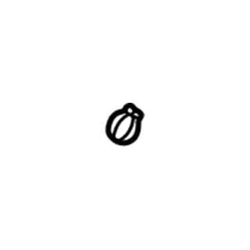 GM 94855009 Boot Clip