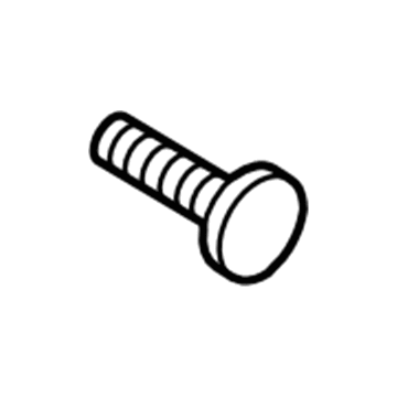 Ford -W790088-S901 Shift Knob Screw