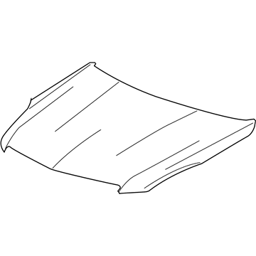 GM 84015798 Hood