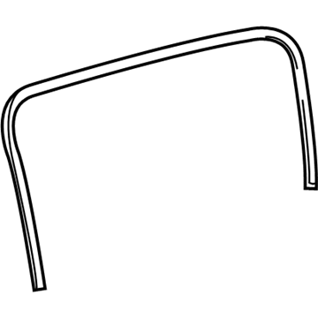 GM 95987989 Weatherstrip On Body
