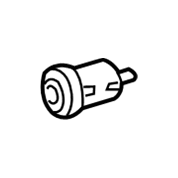 Ford XW4Z-5421990-CB Lock Cylinder Assembly