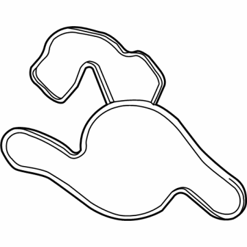 Mopar 68165890AA Gasket-Water Pump