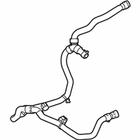 OEM Lincoln Overflow Hose - EJ7Z-8075-B