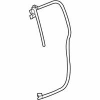 OEM 2005 Chevrolet Colorado Weatherstrip Asm-Rear Side Door - 15290820