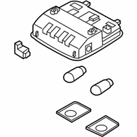 OEM 2019 Hyundai Elantra Interior Lights - 92800F3001TTX