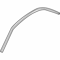 OEM 2002 Nissan Sentra WEATHERSTRIP-Drip, LH - 76843-5M000