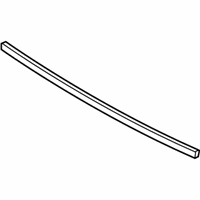 OEM Ford Transit-350 Front Weatherstrip - BK3Z-16A238-A