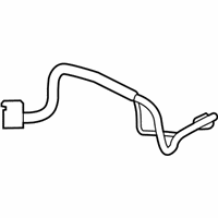 OEM Ford EcoSport Hose & Tube Assembly - GN1Z-19A834-B