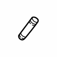 OEM Lincoln Blackwood Weatherstrip Pillar Trim - 2C6Z1503598AAA