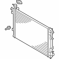 OEM 2014 Kia Sorento Radiator Assembly - 253102B300