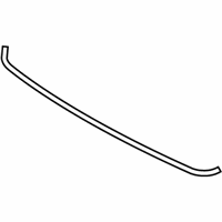 OEM 2006 Hyundai Accent Weatherstrip-Hood - 86431-1E000