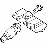 OEM 2014 BMW M6 Gran Coupe Screw-In Valve, Rdc - 36-14-6-792-830