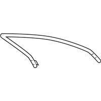 OEM Cadillac CTS Run Weatherstrip - 20944860