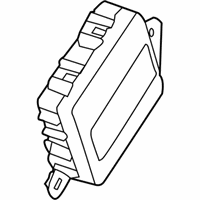 OEM 2018 Kia Cadenza Module Assembly-Smart Key - 95480F6300