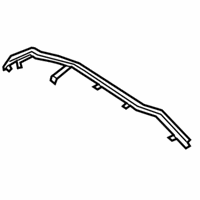 OEM 2018 Lincoln MKZ Front Weatherstrip - DP5Z-5425325-C