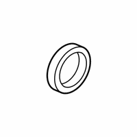 OEM Ford Transit-250 Side Bearings - BL1Z-4222-A